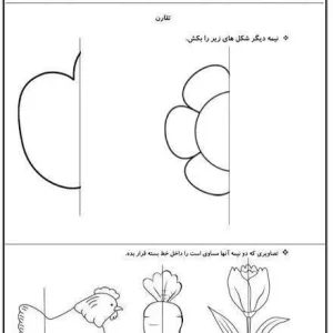 کاربرگ تقارن پایه اول دبستان