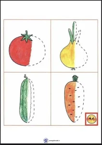 کاربرگ تقارن ریاضی اول دبستان