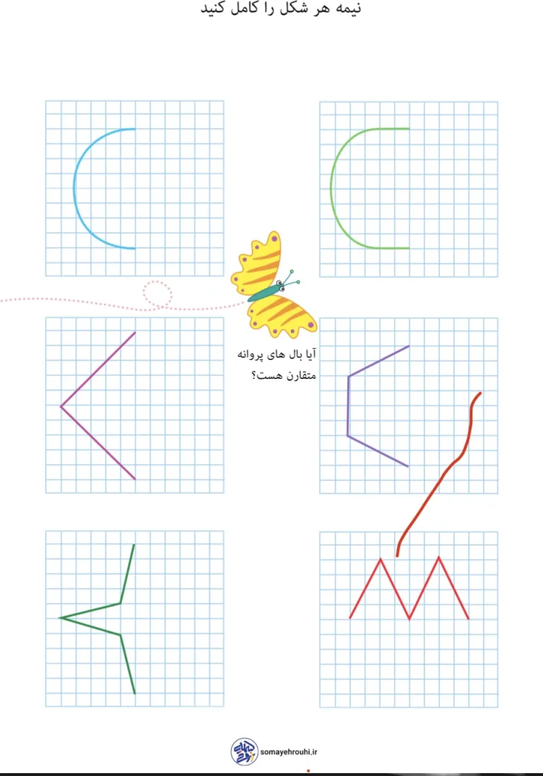 کاربرگ تم ۱۱ ریاضی مبحث تقارن ها کلاس اول دبستان
