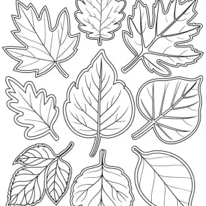 کاربرگ رنگ آمیزی برگ های پاییزی