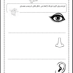 کاربرگ علوم اول دبستان حواس پنجگانه