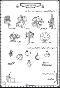 کاربرگ های دروس علوم،فارسی و ریاضی کلاس اول دبستان کاربرگ علوم دنیای گیاهان کلاس اول دبستان