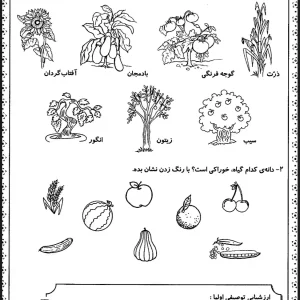 کاربرگ علوم دنیای گیاهان کلاس اول دبستان
