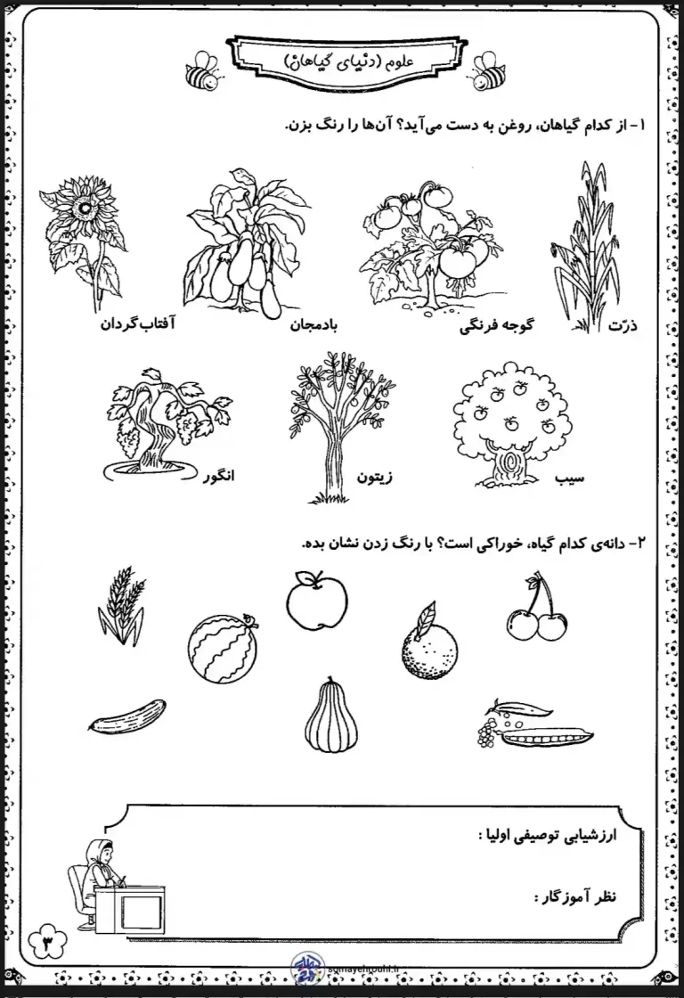 کاربرگ علوم دنیای گیاهان کلاس اول دبستان