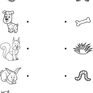 کاربرگ غذای حیوانات پیش دبستانی 2