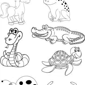 کاربرگ واحد کار خزندگان