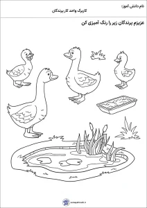 کاربرگ واحدکار پرندگان پیش دبستان