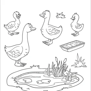 کاربرگ واحدکار پرندگان پیش دبستان