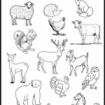 کاربرگ پیش دبستانی 2