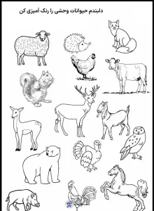 کاربرگ پیش دبستانی 2