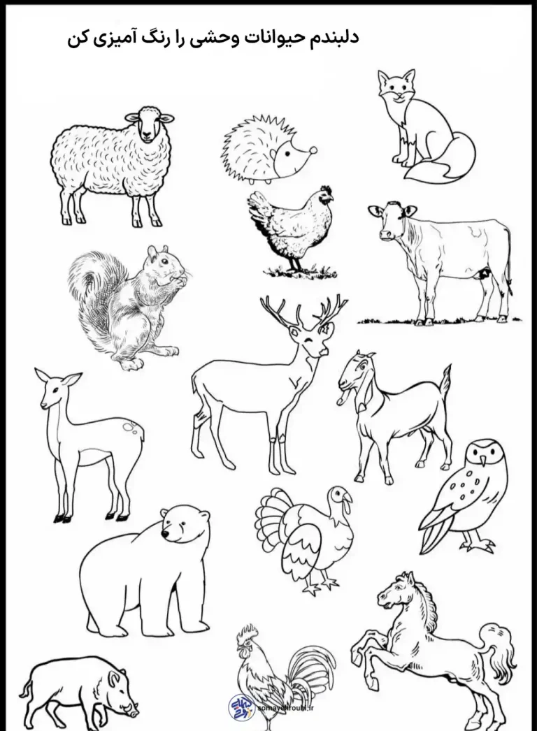 کاربرگ پیش دبستانی 2