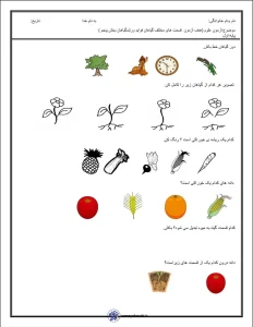 کاربرگ تشخیصی نشانه های (ایـ یـ ی ای) فارسی اول دبستان کاربرگ علوم اول ابتدایی درس گیاهان