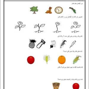 کاربرگ علوم اول ابتدایی درس گیاهان
