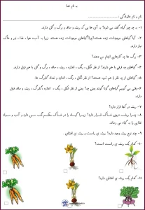 کاربرگ علوم شناخت بخش‌های گیاهان