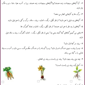 کاربرگ علوم شناخت بخش‌های گیاهان