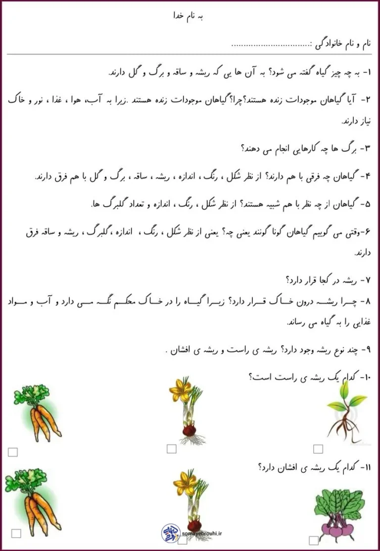 کاربرگ علوم شناخت بخشهای گیاهان