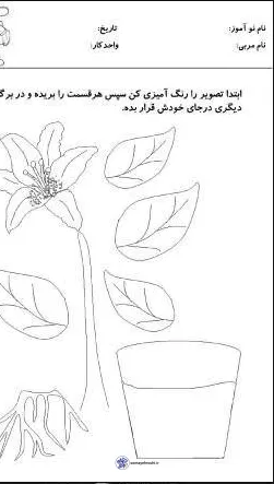 کاربرگ اجزای گیاهان پیش دبستان
