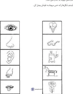 نمونه کاربرگ حواس پنجگانه