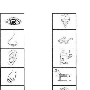 نمونه کاربرگ حواس پنجگانه