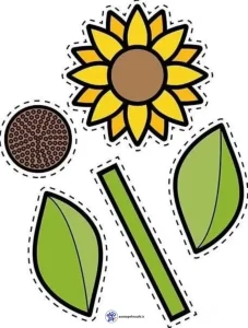 کاربرگ واحدکار اجزای گیاهان