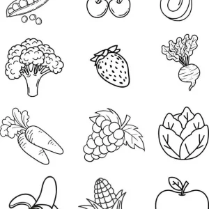 کاربرگ رنگ آمیزی میوه و سبزیجات