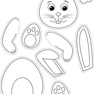 کاربرگ اعضای بدن جانوران