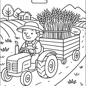 رنگ آمیزی پیش دبستان زندگی روستایی