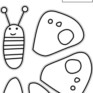 کاربرگ اعضای بدن حشرات