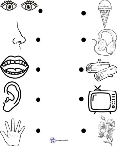 کاربرگ رایگان حواس پنجگانه