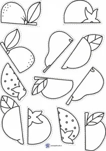 کاربرگ شناسایی میوه‌ها