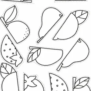 کاربرگ شناسایی میوه‌ها