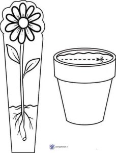 واحدکار گیاهان پیش دبستانی