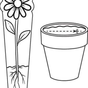 واحدکار گیاهان پیش دبستانی