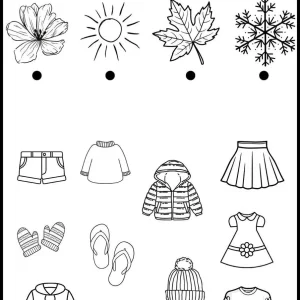 کاربرگ شناخت پوشاک در انواع فصل