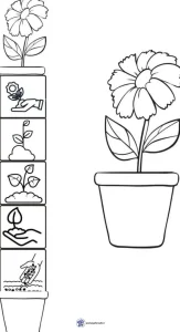 کاربرگ واحد کار گیاهان