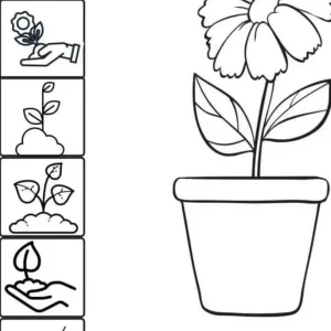 کاربرگ واحد کار گیاهان