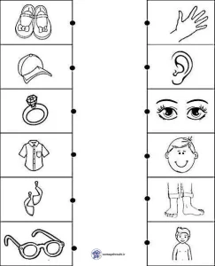 کاربرگ تطبیق لباس با اعضای بدن