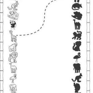 کاربرگ سایه ها پیش دبستان