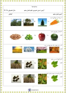 آزمون عملکردی فصل دوم علوم اول کاربرگ آزمون فصل 5 علوم اول