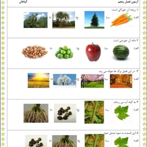 کاربرگ آزمون فصل 5 علوم اول