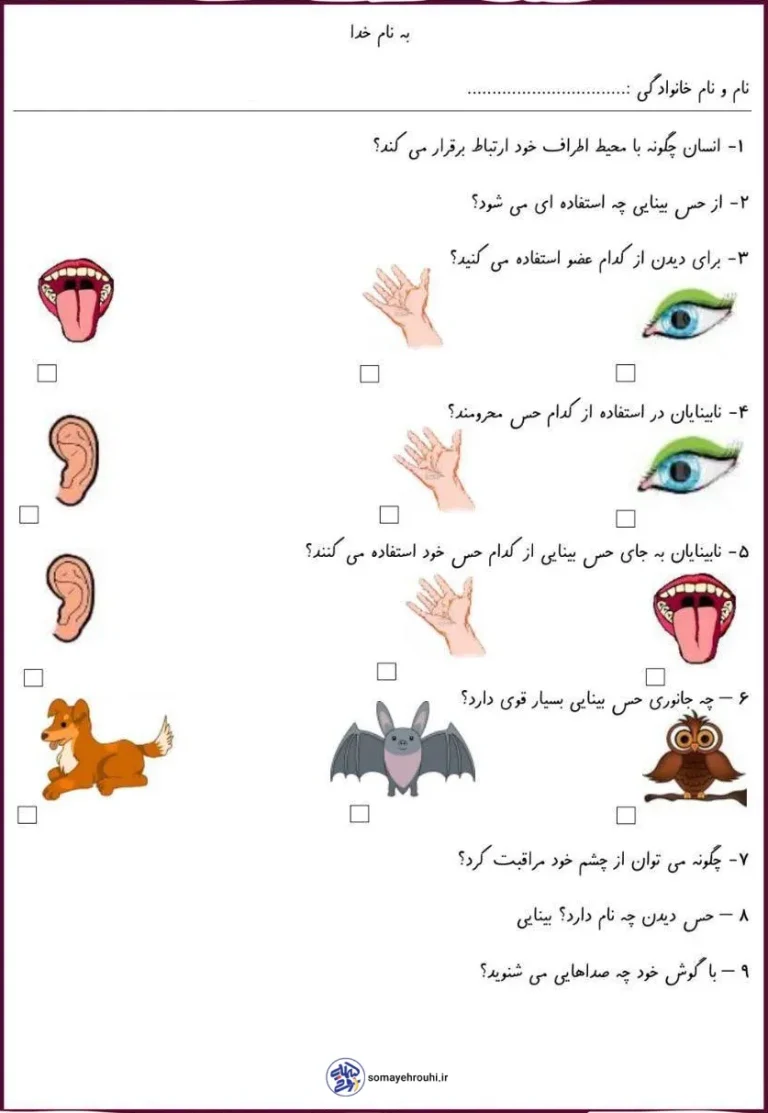 کاربرگ علوم فصل 2 پایه اول