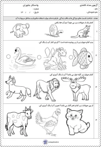 کاربرگ واحد کار جانوران پیش دبستانی
