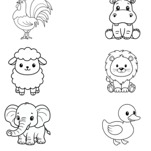 کاربرگ حیوانات اهلی و وحشی