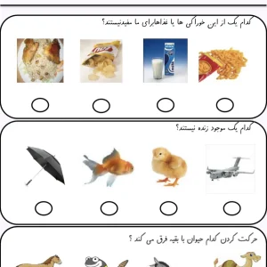 آزمون علوم پایه اول دبستان نوبت اول دی ماه