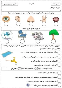 آزمون ریاضی دوم دبستان فصل یکم آزمون فصل 1تا3 علوم دوم