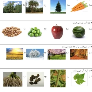 آزمون فصل ۵ علوم کلاس اول دبستان