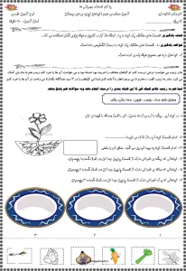عملکردی علوم (گیاهان) اول ابتدایی