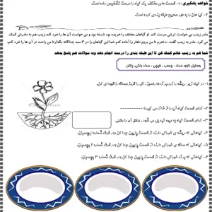 عملکردی علوم (گیاهان) اول ابتدایی