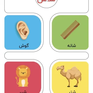 فلش کارت نشانه های (ز تا ش) اول دبستان