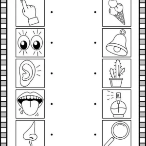 مجموعه کاربرگ ارتباط یابی پیش دبستان